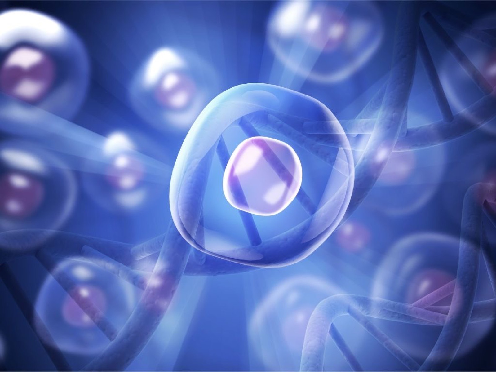 再生医療のご説明