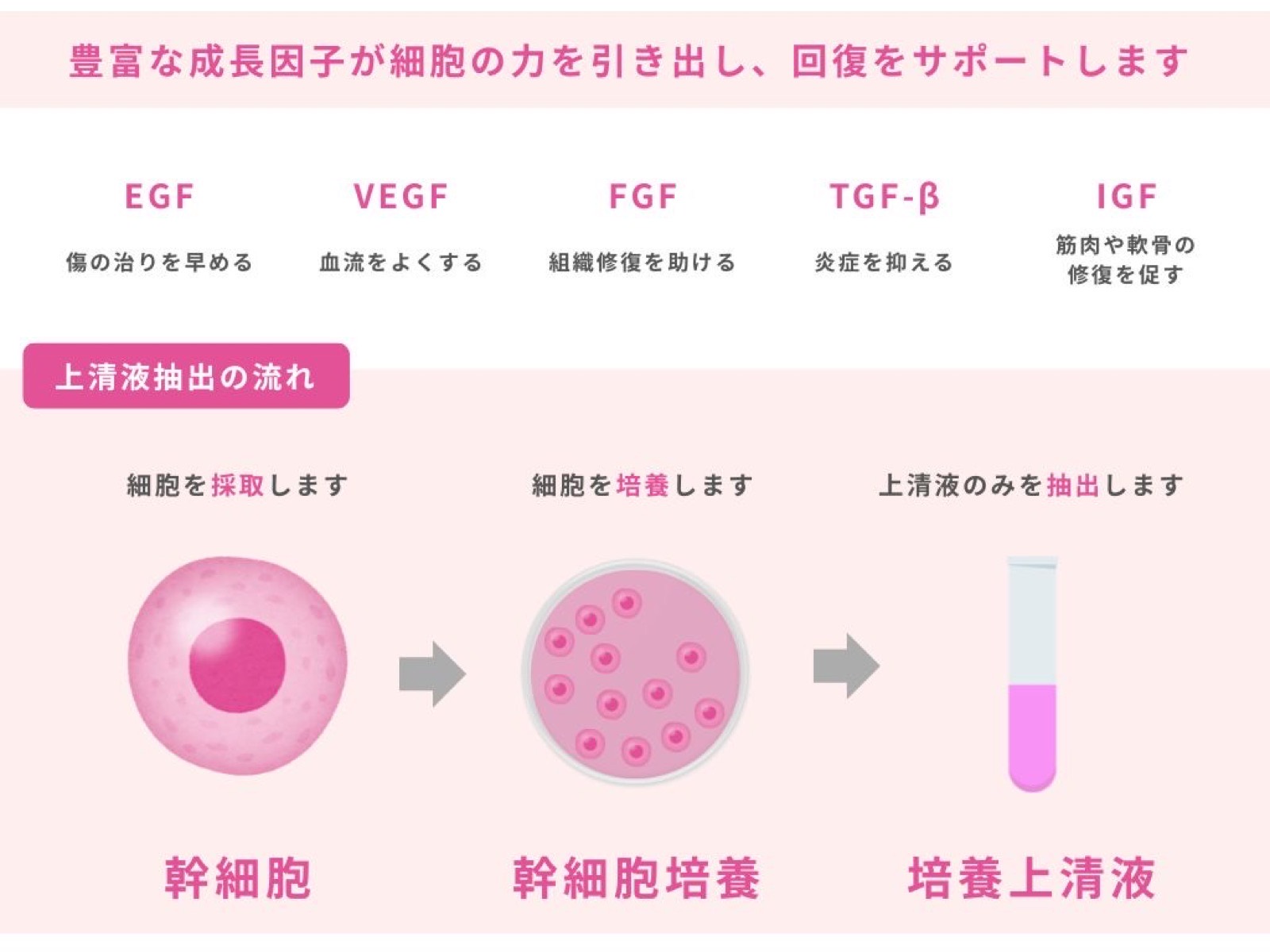 上清液の準備
